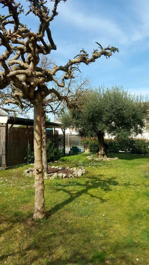 Molinaccio Villa Bracci מראה חיצוני תמונה
